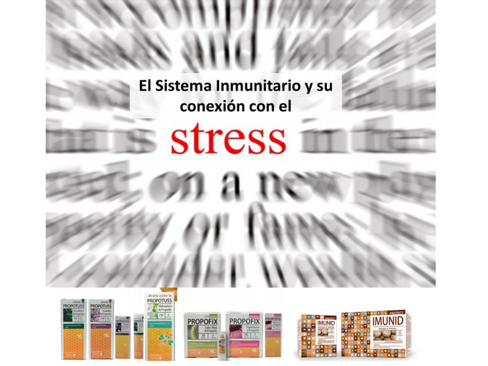 Conferencia Gratuita: Sistema inmunitario y su conexión con el Estrés