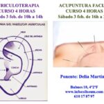 Curso MTC doble: Auriculoterapia (4h) + Acupuntura Facial (4h)