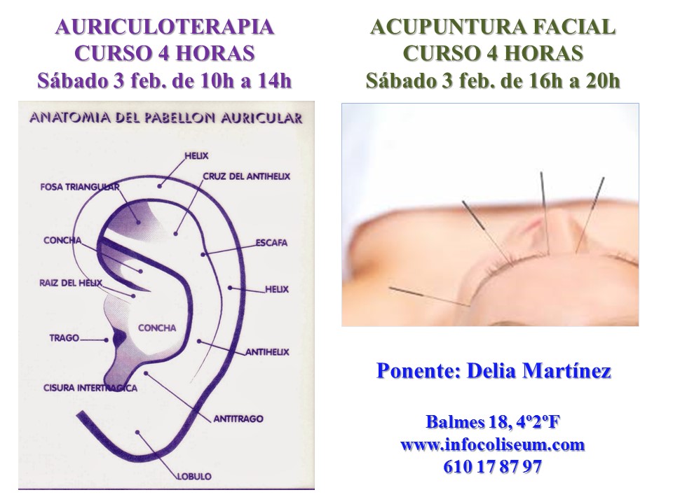 Curso MTC doble: Auriculoterapia (4h) + Acupuntura Facial (4h)