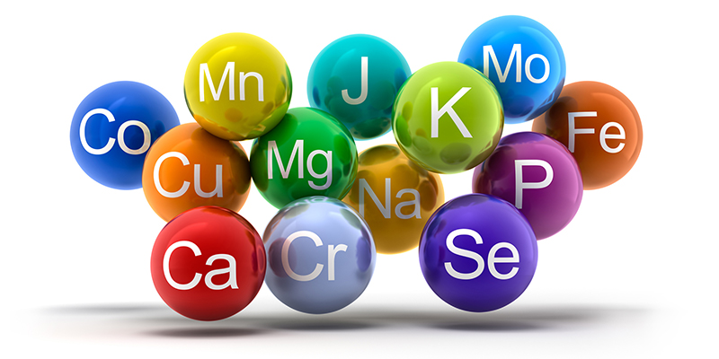 Para profesionales de la salud: Micronutrición y Autorregulación Celular