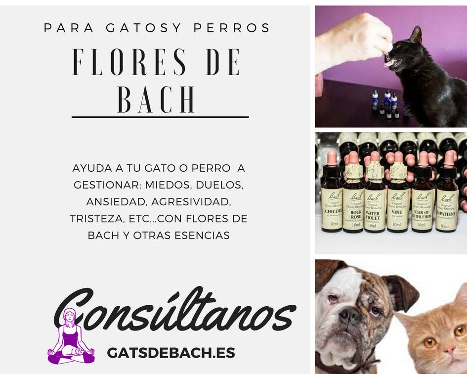 Flores de Bach aplicadas a los animales.