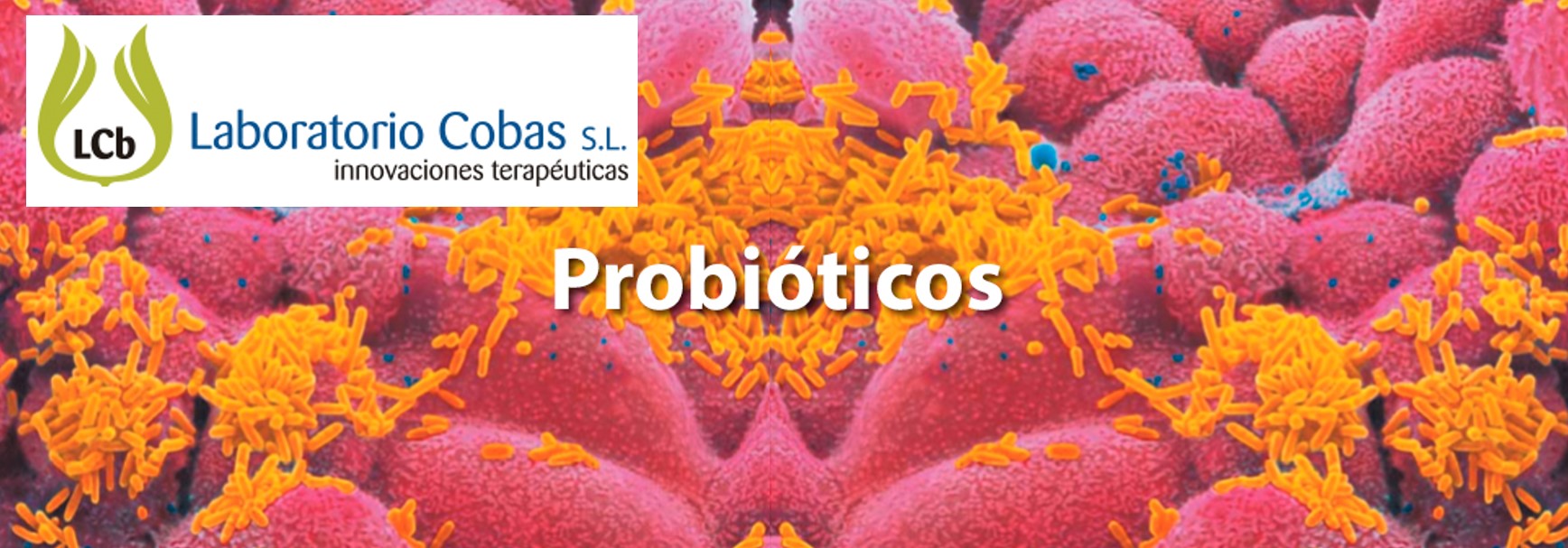 Microbiota, más allá de lactobacilos y bifidobacterias