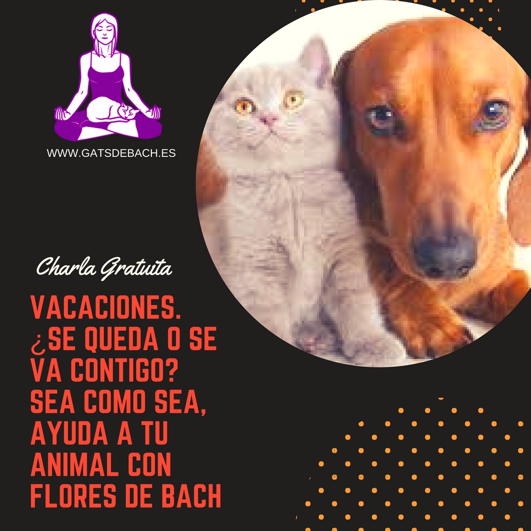 Flores de Bach para animales en vacaciones.