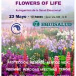 Esencias del mundo y flowers of life