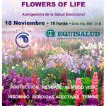 Esencias del mundo y flowers of life