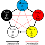 Evaluación de tu estado energético según Medicina Tradicional China. 15 min personalizados gratuitos.