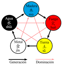 Evaluación de tu estado energético según Medicina Tradicional China. 15 min personalizados gratuitos.