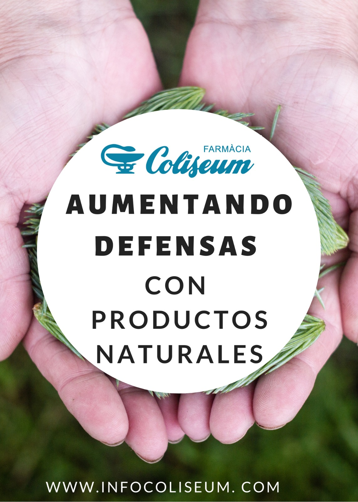 Activando las defensas con productos naturales