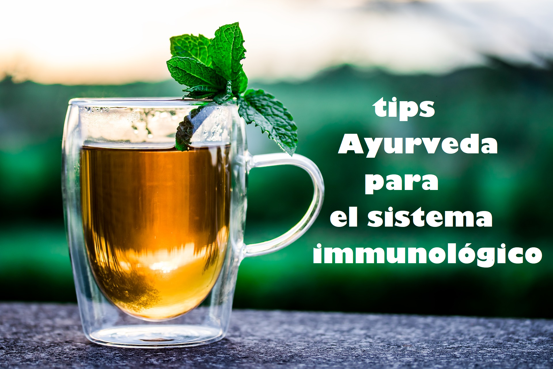 Cancelado. Taller presencial: Ayurveda para reforzar tu immunidad.