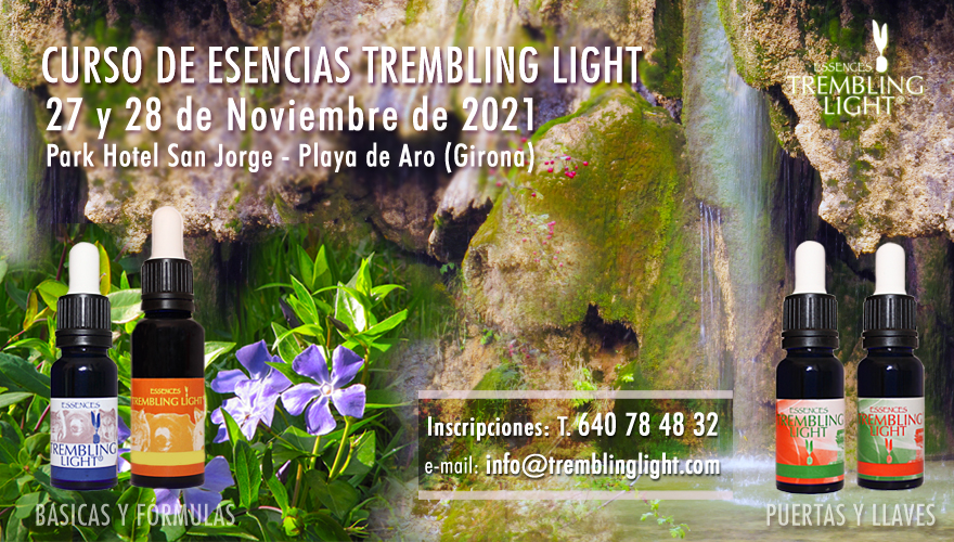 Curso de Esencias Trembling Light