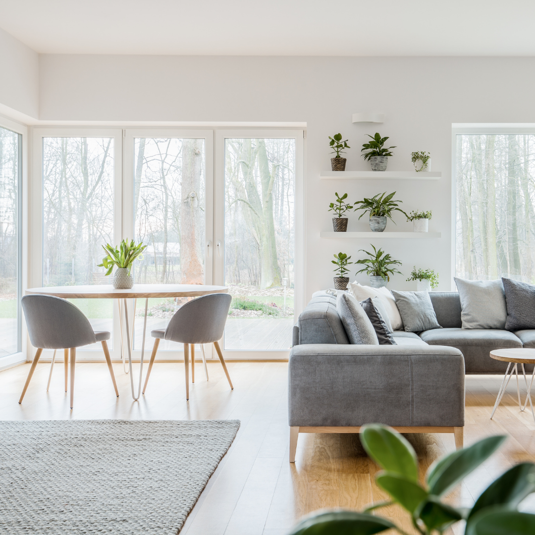 Asessoramiento casa sana i harmónica: Feng Shui, Electrocontaminación i Salud ambiental.